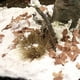 thumbnail image 3 of Textura de suelo Vallejo Diorama FX Nieve 200 ml Acrílico, 3 of 3
