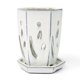 thumbnail image 2 of Maceta rePotme 10 x 15 cm Diamante Blanco Hexagonal, 2 of 4