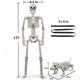 thumbnail image 4 of Decoración de Halloween: Esqueleto UZYZMS 91 cm y 56 cm, 4 of 6