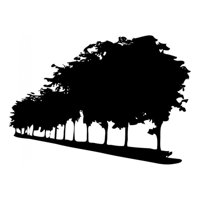 Rienda Libre Graphics - Decomural Trees Tree Border Ws-15892