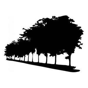 Rienda Libre Graphics - Decomural Trees Tree Border Ws-15892