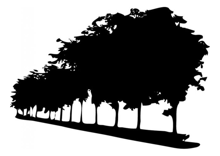 Rienda Libre Graphics - Decomural Trees Tree Border Ws-15892