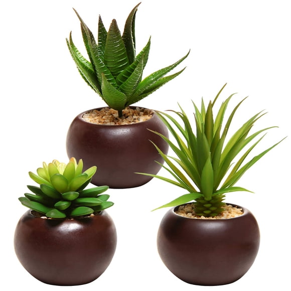 Plantas suculentas artificiales MyGift con macetas redondas de cerámica