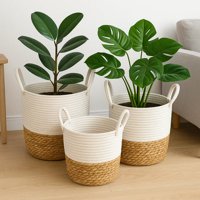 Estilodomus - Set 3 Cestas Tejidas Fibra Y Cuerda