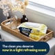 thumbnail image 2 of Toallitas desechables Cottonelle Summer Fresh Scented 84 unidades, 2 of 8