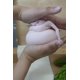 thumbnail image 3 of Muñeca coleccionable THEMUGLY Rene, juguete divertido para niños y adultos, 3 of 9