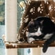 thumbnail image 3 of Sillín Cat Tree Armarkat A6601, marrón con estampado de patas blancas, 3 of 6