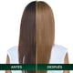 thumbnail image 4 of Tintura Nutrisse Cabello Oleos 8.0 Rubio Claro, 4 of 6