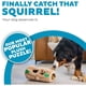 thumbnail image 2 of Outward Hound Hide-A-Squirrel Plush Squeaky Dog Toy, XL, 7 x, 2 of 3