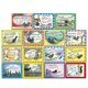 thumbnail image 3 of Colección de 15 libros de Hairy Maclary – Puffin Ltd, 3 of 8