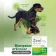 thumbnail image 2 of Zeel de Heel 100 Comprimidos, 2 of 3