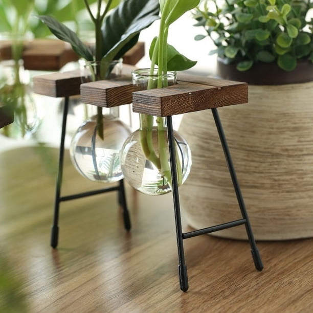 Add a touch of creativity to your living space with this 1pc Transparent Glass Hydroponic Vase. Perfect for your desktop, this vase is a creative and beautiful addition to your living room, study or o