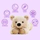 thumbnail image 2 of Peluche Warmies Brown Bear, apto para microondas, con aroma a lavanda, 2 of 4