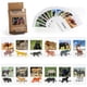 thumbnail image 1 of Montessori Zoo Safari Animal Match MEROCO con 12 figuras, 1 of 8