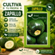 thumbnail image 4 of Semillas Zapallo Italiano Bolo Brisol Huerto Urbano, 4 of 4