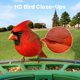 thumbnail image 3 of Comedero para Pájaros Birdfy 2 con Cámara Solar Inalámbrica y Detección de Movimiento, 3 of 9