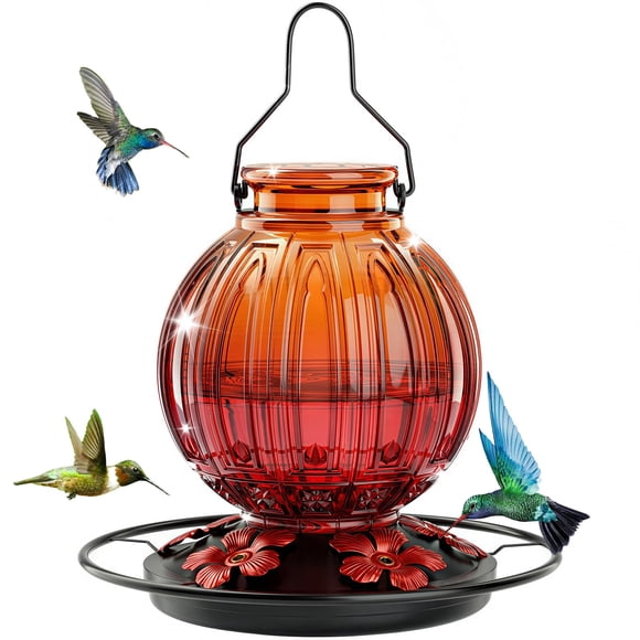 Alimentador de Colibrí de Vidrio Grete Gotye 770 ml 5 Puertos