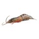 thumbnail image 5 of Criaturas De Gambas Realistas Figuras De Juguete Aprendizaje Temprano Cognitivo Para La Ense?anza Negro 103g, 5 of 5