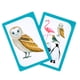 thumbnail image 5 of Juego de cartas Group It de Kibbit para terapia del habla y herramienta ESL, 5 of 5