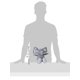 thumbnail image 3 of Juguete de peluche para perros GoDog Checkers Elephant con Squeaker Grey, 3 of 8