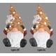 thumbnail image 3 of Decoración Navideña Gnomo de Árbol Brillante AFD Home con Luces LED, 3 of 9