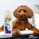 thumbnail image 4 of Champú para Perros Hartz UltraGuard Pro Triple Acción 532 ml, 4 of 6