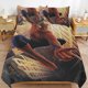 thumbnail image 2 of Spiderman Swinging in New York City 3 Piece Sets Full/Queen Size - Reversible Microfiber Quilts with 2 Shams Soft Lightweight Bedspread Coverlet Comforter for All Season Bed Sheets, 2 of 5