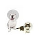 thumbnail image 3 of Collar Isabelino Velcro Talla 2+ – 33-37 cm x 18 cm blanco 2, 3 of 8