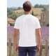 thumbnail image 3 of INSPIRE CHIC Camiseta de Hombre 100% Algodón Manga Corta Camiseta Interior de Verano Tallas L Blanco, 3 of 5