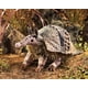 thumbnail image 3 of Títere de Mano Armadillo Folkmanis 43x20x18 cm, 3 of 4