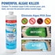 thumbnail image 2 of Algicida Doheny's Super Plus 7.1% Cobre quelado 480 mL x12, 2 of 8