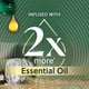 thumbnail image 3 of Recarga de Aceite Perfumado Air Wick Paquete de 5 - Bosque Tropical con Kiwi y Maracuyá, 3 of 5