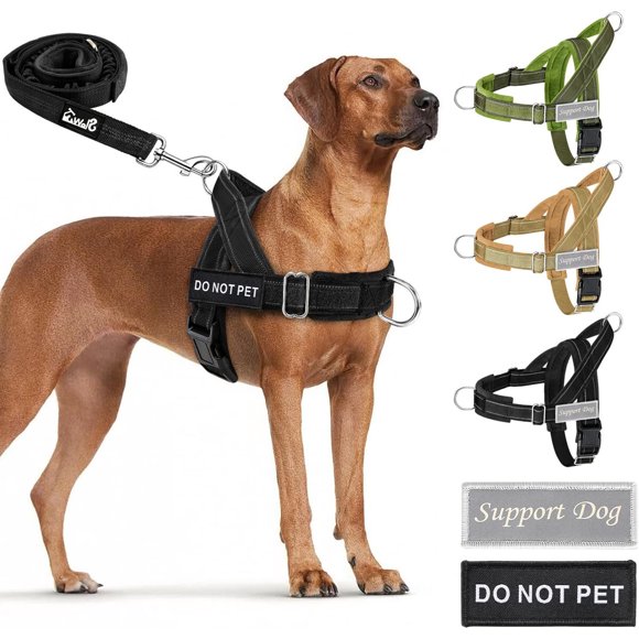 Arnés para Perro SlowTon Antitirones con Correa