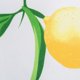 thumbnail image 2 of Juego de servilletas DII Lemon Bliss Outdoor para mesa de 20 x 20 pulgadas, 6 piezas, 2 of 8