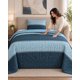 thumbnail image 1 of Cubrecama Quilt delgada de Verano Plaza y Media con Funda de Almohada, 1 of 8