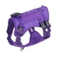 thumbnail image 4 of Arnés Ligero Para Perros, Para Correr, Antitirones, Para Perros Grandes, Medianos Y Grandes, Color Violeta, Talla L, 4 of 5