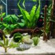 thumbnail image 3 of Madera para acuario emours 20‑25 cm forma variable, 3 of 8