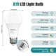 thumbnail image 2 of Bombilla LED Ruboffcs A19 13W 5000K Pack de 24, 2 of 7