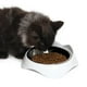 thumbnail image 2 of Catit Plato Bajo Pixi para Gatos 200ml, 2 of 3