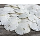 thumbnail image 1 of Set de decoración de pared y adornos Sand Dollar, paquete de 50 dólares de arena reales, 1 of 4