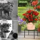 thumbnail image 4 of 2 Soporte Macetero Planta Retirable Interior Y Exterio 22cm, 4 of 9