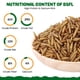 thumbnail image 2 of Larvas secas de mosca soldado negra BENEYUMI 4.54 kg, alto contenido de proteína, 2 of 7