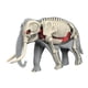 thumbnail image 2 of Modelo De Cuerpo Animal Para El Aprendizaje, Material Didáctico Para Niños Que Estudian En Casa (3109), 2 of 5