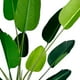 thumbnail image 3 of Planta Artificial Ave del Paraíso 180 cm. Premium., 3 of 8