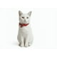 thumbnail image 3 of Collar Para Gato Gatita Anti Ahorque Con Lazo, 3 of 3
