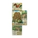 thumbnail image 2 of Forest Shuffle, 2 of 2