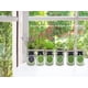 thumbnail image 3 of Kit de cultivo de hierbas Environet toronjil con riego automático, 3 of 4