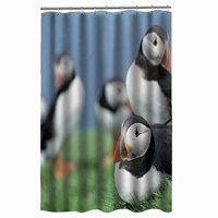 Pinghai - Cortina De Ducha De Pingüino Con Ganchos (122 X 183 Cm)