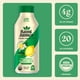 thumbnail image 2 of Té helado verde orgánico Saint James 12 x 473 ml, 2 of 5