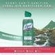 thumbnail image 2 of Spray desinfectante de aire Lysol Mountain Spring Scent 300 ml x3, 2 of 5